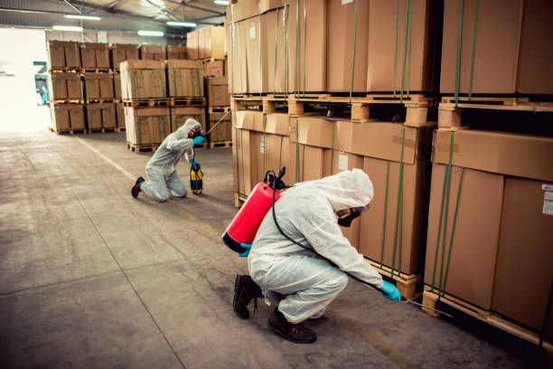 Best Flea Control Services  in Little Falls, NY