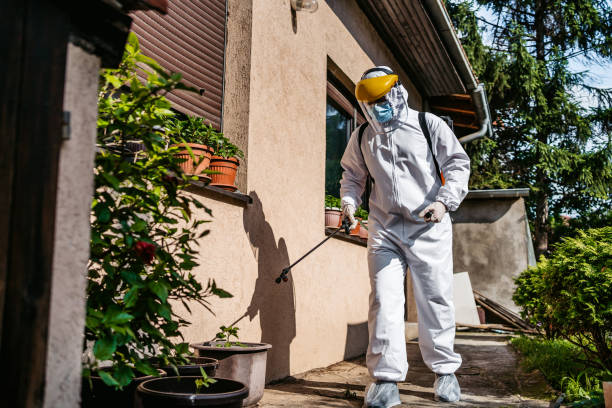 Best Affordable Pest Control Services  in Little Falls, NY
