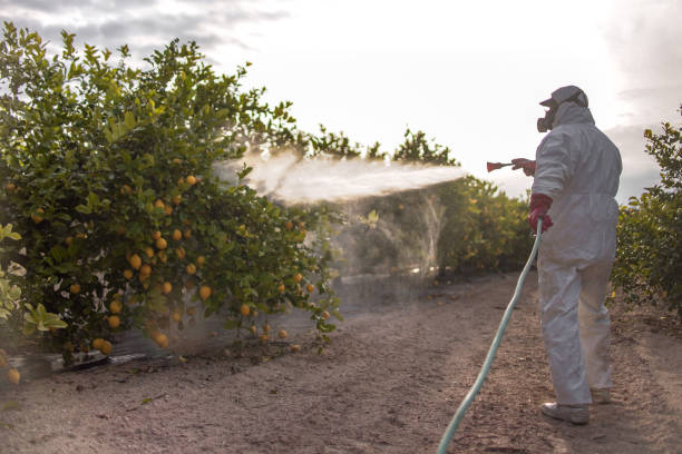 Best Pest Removal Services  in Little Falls, NY