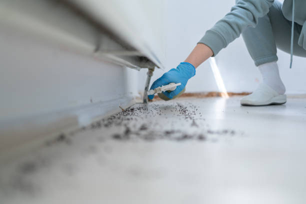 Wildlife Control Services in Little Falls, NY
